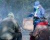 Más de 60 operativos contra delitos ambientales en Cundinamarca: ¿qué encontraron?