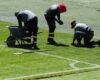 ¿Qué pasa con la grama de El Campín? Sencia deberá dar explicaciones