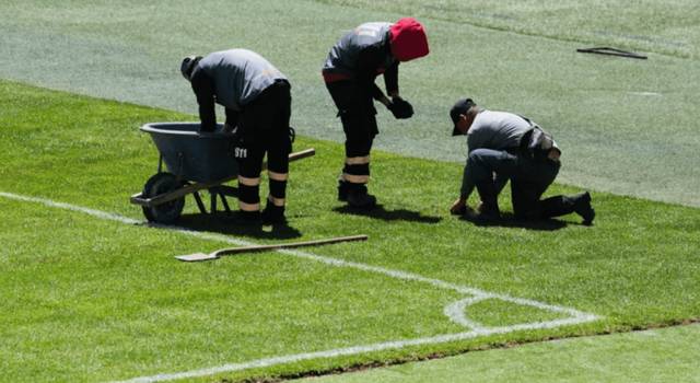 ¿Qué pasa con la grama de El Campín? Sencia deberá dar explicaciones